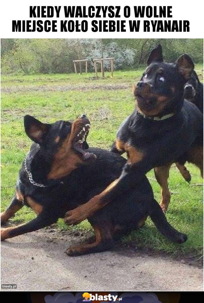 Mem urodzinowy: Kiedy walczysz o wolne miejsce koło siebie w Ryanair. 